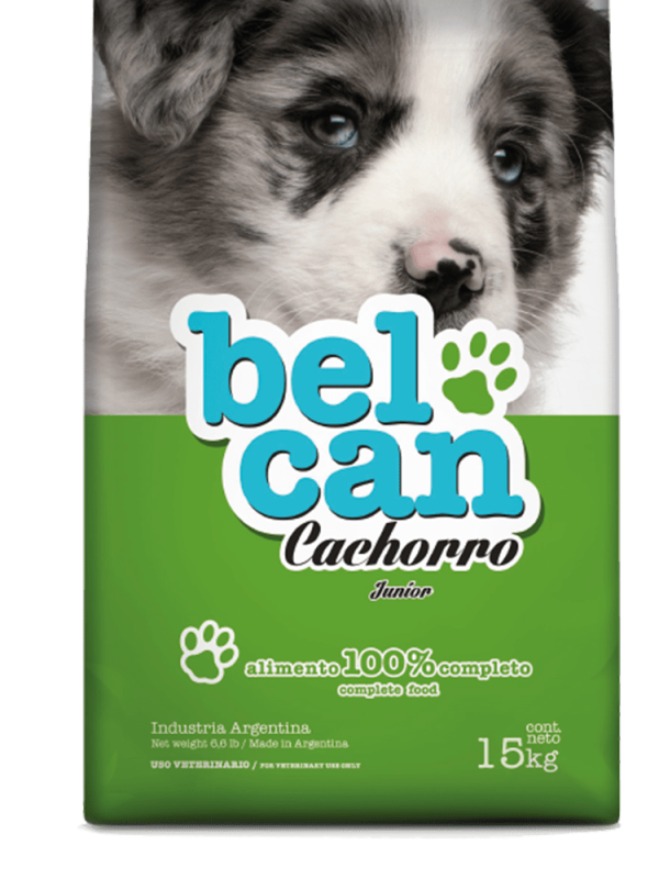 Bel Can Cachorro