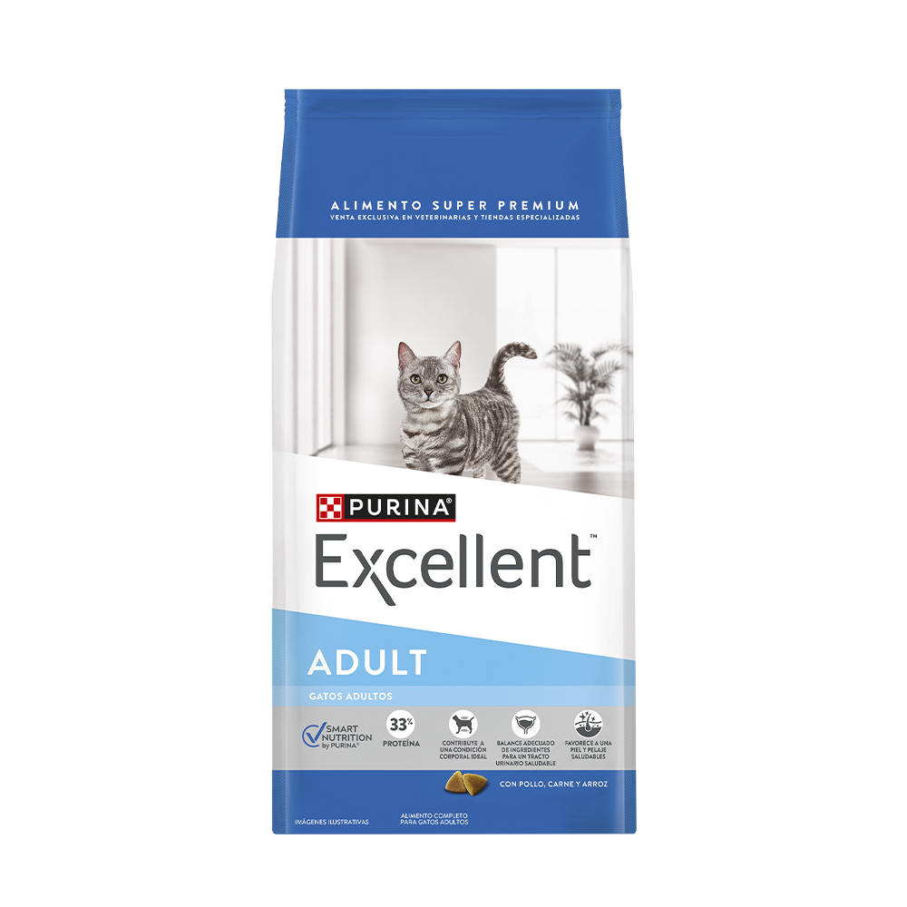Excellent Gato Adulto