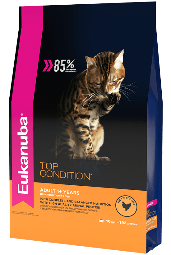 Eukanuba Gato Adulto
